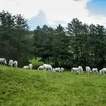 Landhaus Piber Piber
