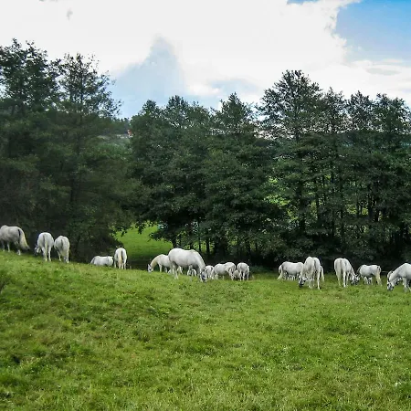 Landhaus Piber Piber