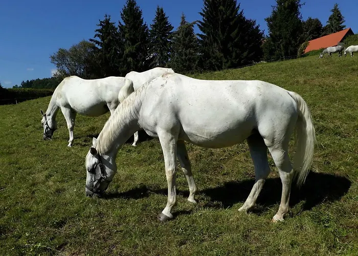 شقة Landhaus Piber *