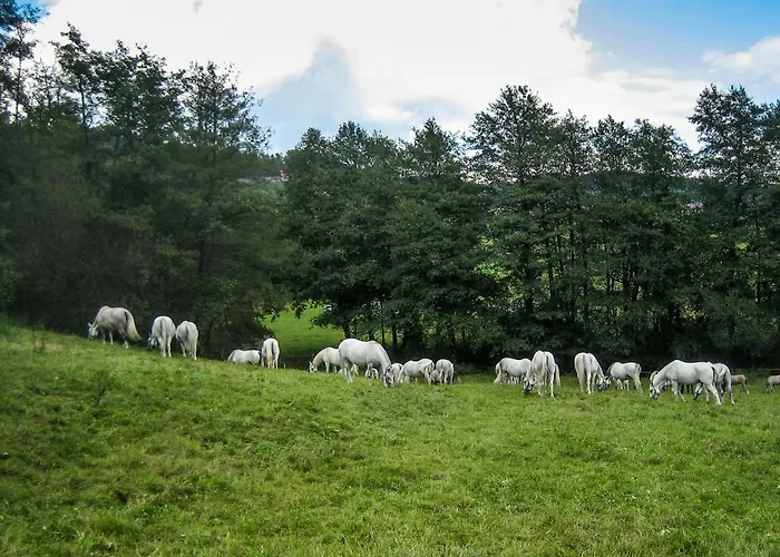 Landhaus Piber Piber